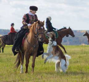 Царская охота с борзыми, для него, подарочные сертификаты