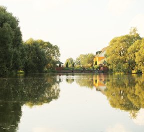 День на Диком западе, экстрим, подарочные сертификаты