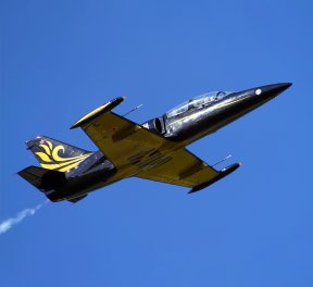 Полет на истребителе L-39, 14 февраля, подарочные сертификаты