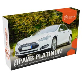 Подарочный набор «Драйв Platinum», для него, подарочные сертификаты