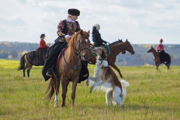 Царская охота с борзыми, стоимость от 114 345 рублей. Фотография 1.