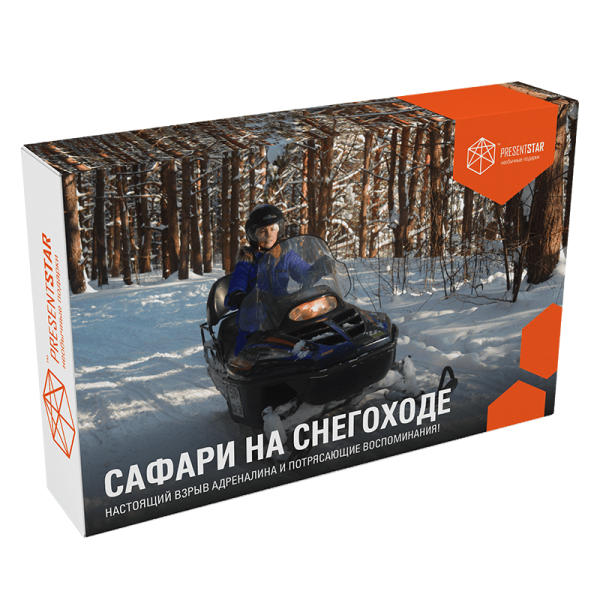 Сафари на снегоходе, стоимость от 6 875 рублей. Фотография 1.