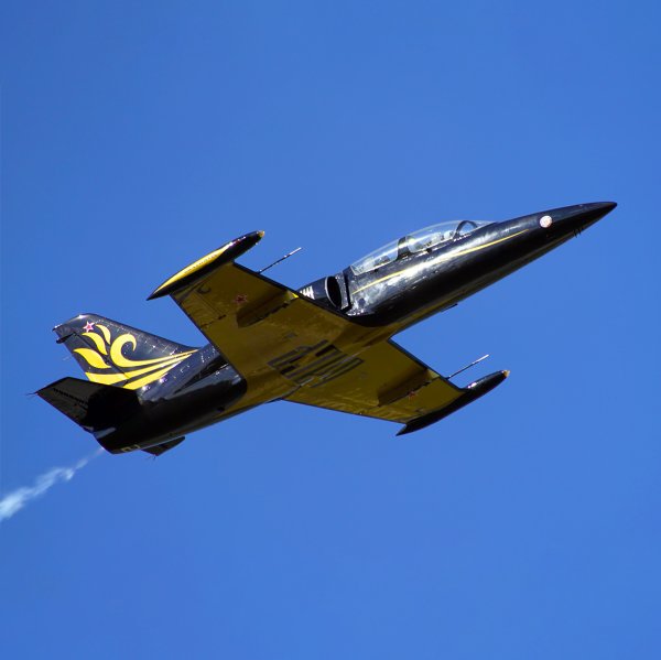 Полет на истребителе L-39, стоимость от 173 681 рублей. Фотография 1.