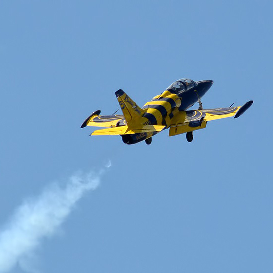 Полет на истребителе L-39, стоимость от 336 116 рублей. Фотография 1.