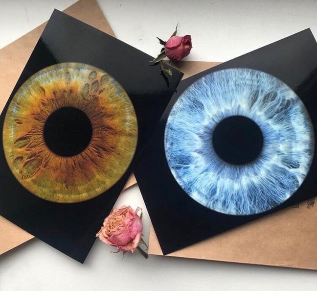 Фото радужки глаза для двоих, фото 18.