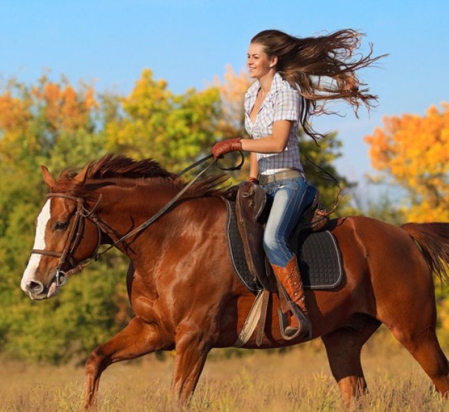 Прогулка на лошадях, фото 6.