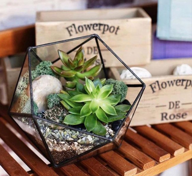 Мастер-класс по созданию флорариума, фото 18.