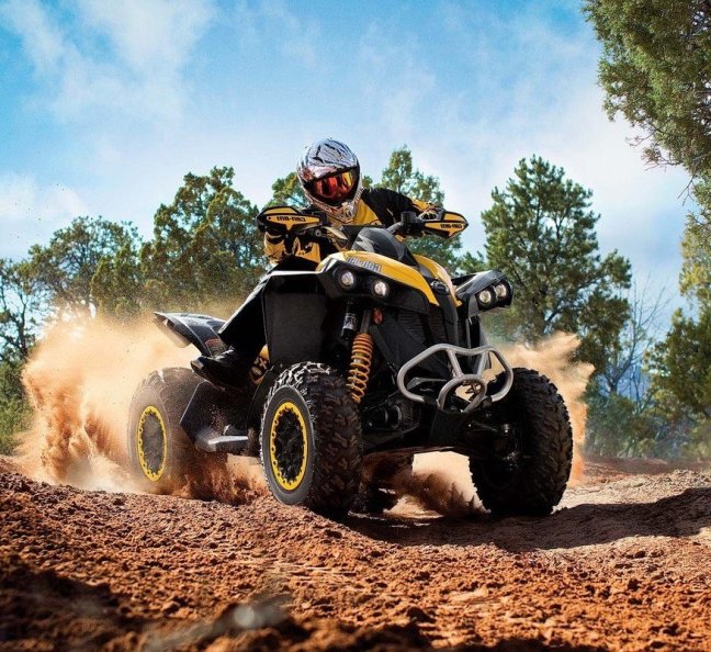 Сафари на квадроцикле, фото 1.