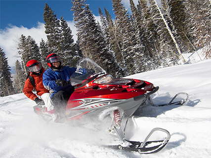 Сафари на снегоходе для двоих Стандарт, фото 21.